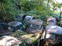 Autofriedhof - 021